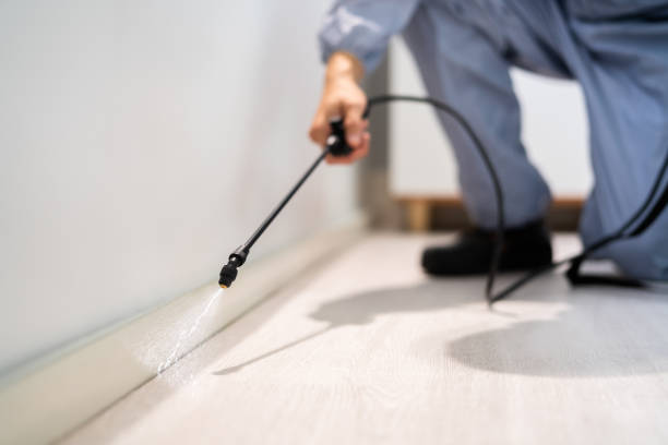 Licensed Wasp Removal service in Huntersville, NC - Show Me Pest Control