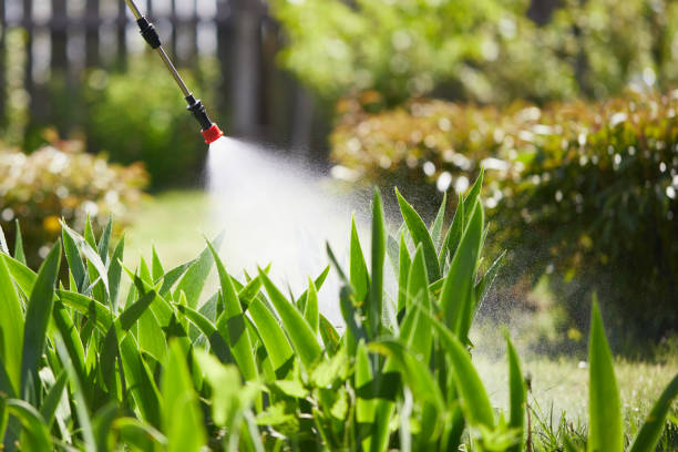24/7 Emergency Wasp Removal experts in Huntersville, NC