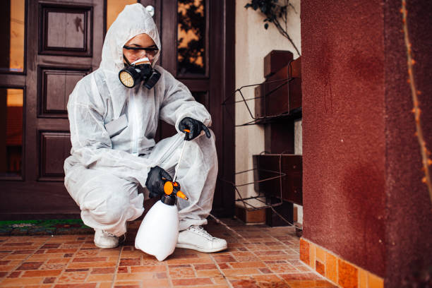 Reliable Wasp Removal contractor in Huntersville, NC by Show Me Pest Control